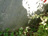 image of grave number 346288
